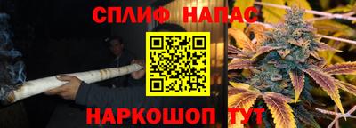 тгк Будённовск