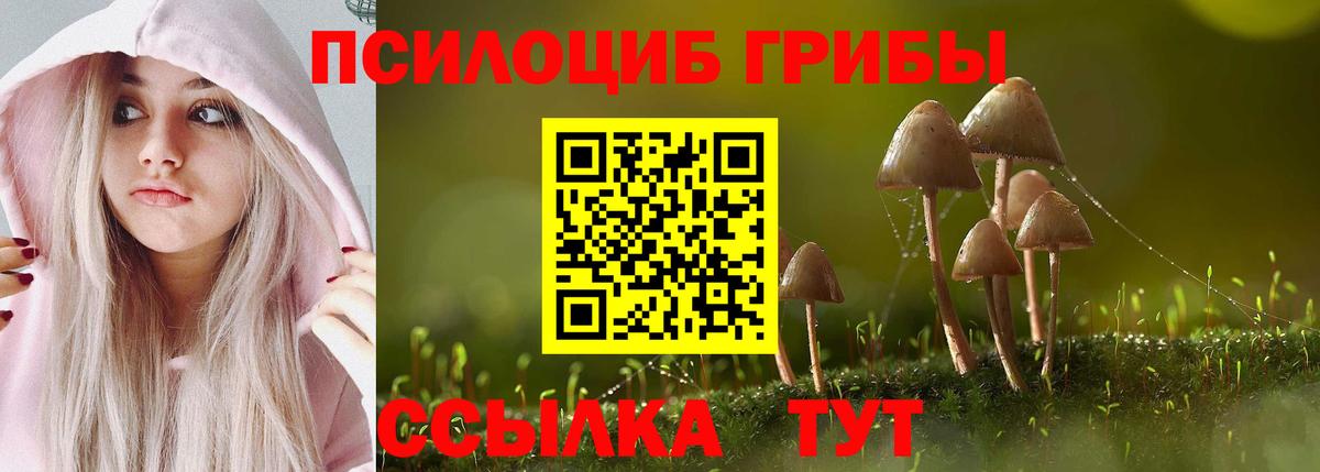 Псилоцибиновые грибы MAGIC MUSHROOMS  Вход с VPN  Галлюциногенные грибы Psilocybine cubensis  Мирный 